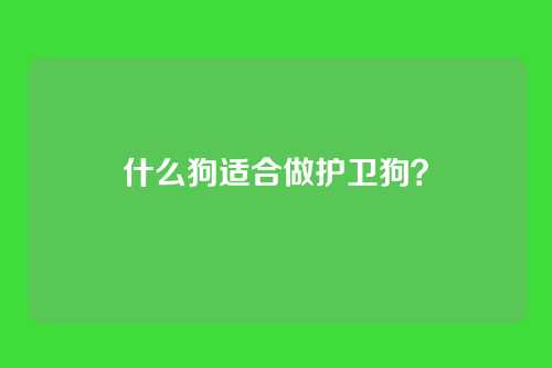 什么狗适合做护卫狗？