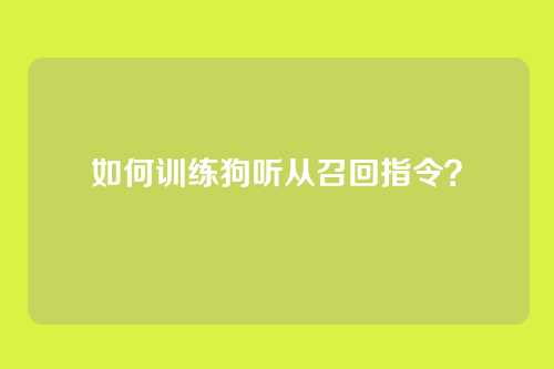 如何训练狗听从召回指令？