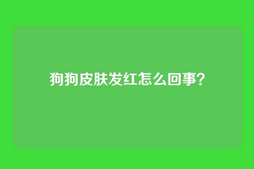 狗狗皮肤发红怎么回事？