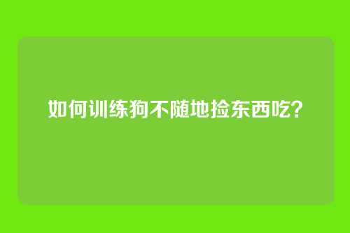 如何训练狗不随地捡东西吃?
