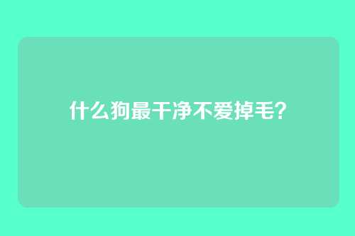 什么狗最干净不爱掉毛?