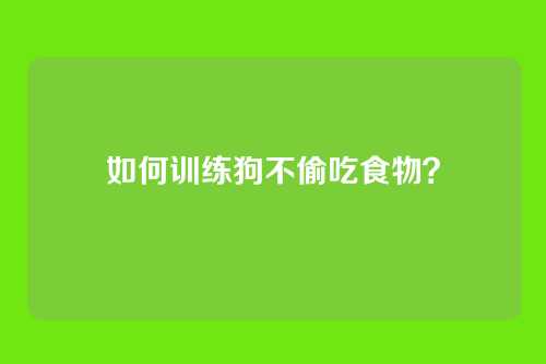 如何训练狗不偷吃食物?