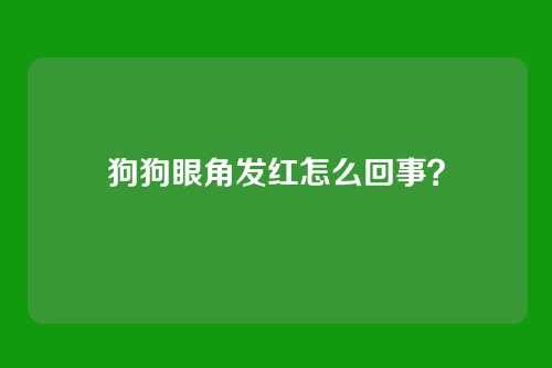 狗狗眼角发红怎么回事？