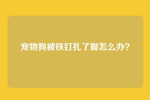 宠物狗被铁钉扎了脚怎么办?