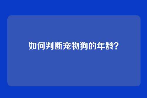 如何判断宠物狗的年龄?