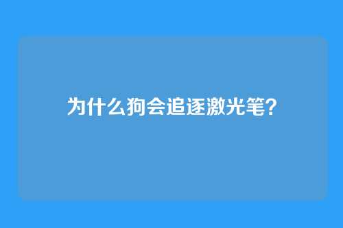 为什么狗会追逐激光笔？