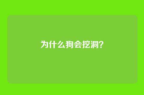 为什么狗会挖洞?