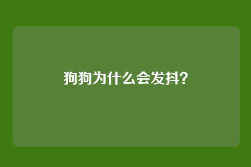 狗狗为什么会发抖?
