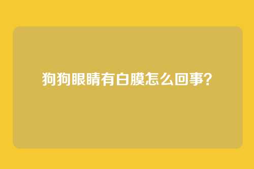 狗狗眼睛有白膜怎么回事？