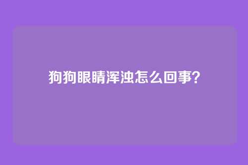 狗狗眼睛浑浊怎么回事？