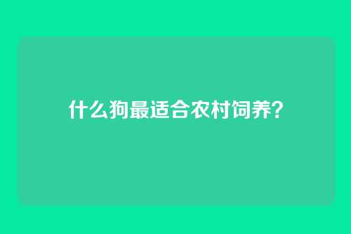 什么狗最适合农村饲养？