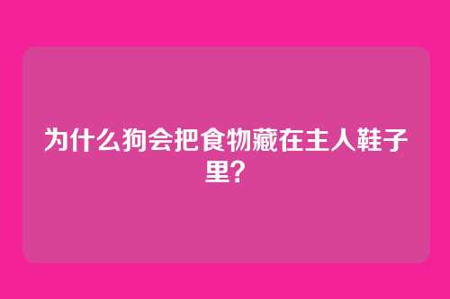 为什么狗会把食物藏在主人鞋子里？