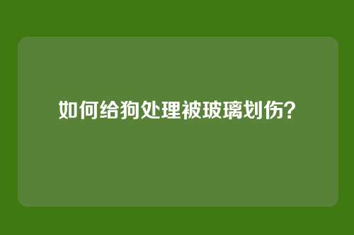 如何给狗处理被玻璃划伤？