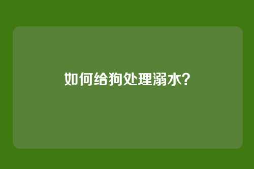 如何给狗处理溺水？