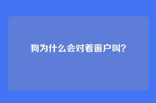 狗为什么会对着窗户叫？