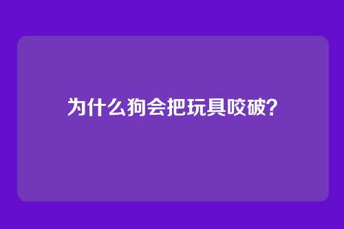 为什么狗会把玩具咬破？