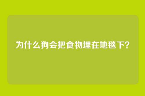 为什么狗会把食物埋在地毯下？