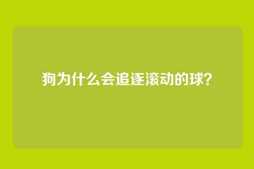 狗为什么会追逐滚动的球？