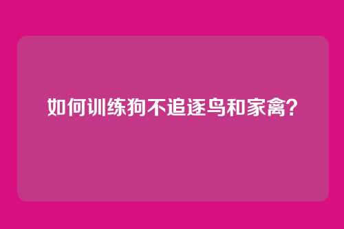如何训练狗不追逐鸟和家禽？