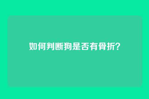 如何判断狗是否有骨折？