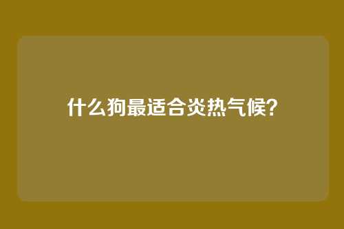 什么狗最适合炎热气候？