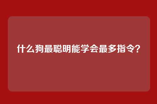 什么狗最聪明能学会最多指令？
