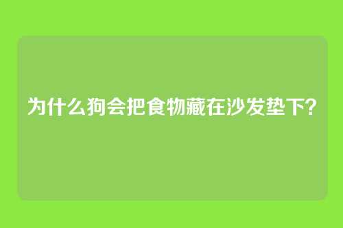 为什么狗会把食物藏在沙发垫下？