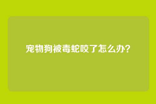 宠物狗被毒蛇咬了怎么办？