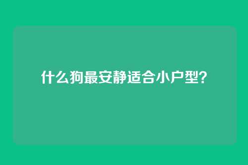 什么狗最安静适合小户型?