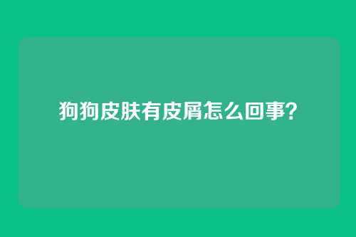 狗狗皮肤有皮屑怎么回事?