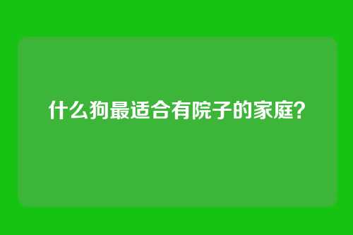 什么狗最适合有院子的家庭？