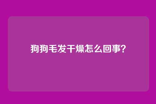 狗狗毛发干燥怎么回事？