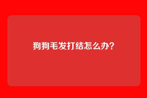 狗狗毛发打结怎么办？