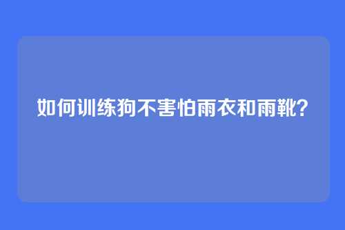 如何训练狗不害怕雨衣和雨靴？