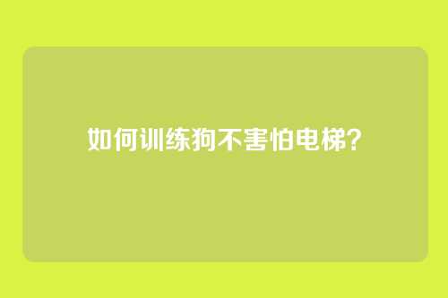 如何训练狗不害怕电梯?