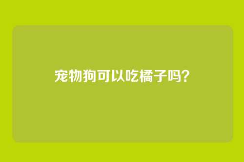 宠物狗可以吃橘子吗?