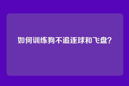 如何训练狗不追逐球和飞盘？
