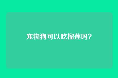 宠物狗可以吃榴莲吗？