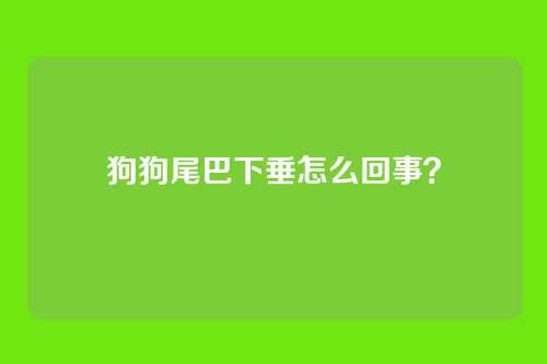 狗狗尾巴下垂怎么回事？
