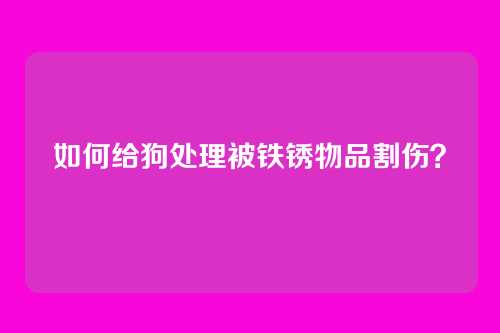 如何给狗处理被铁锈物品割伤？