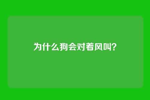 为什么狗会对着风叫?