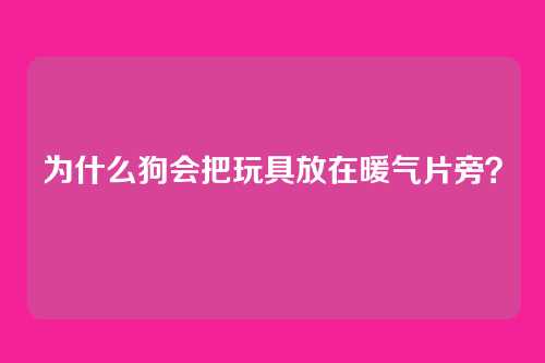 为什么狗会把玩具放在暖气片旁？