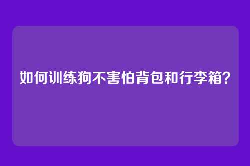 如何训练狗不害怕背包和行李箱?