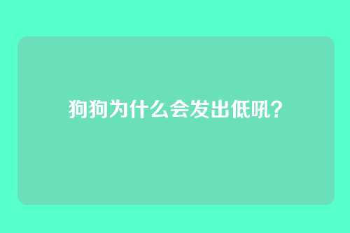 狗狗为什么会发出低吼？