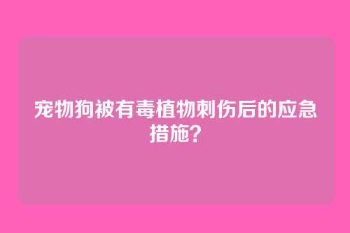 宠物狗被有毒植物刺伤后的应急措施？