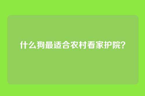 什么狗最适合农村看家护院？