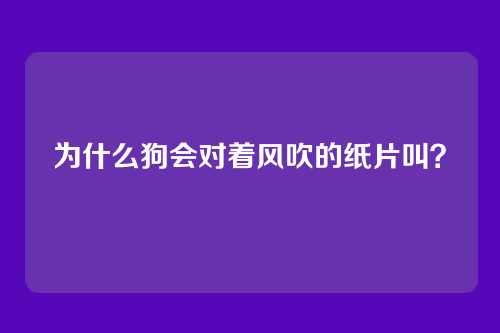 为什么狗会对着风吹的纸片叫?