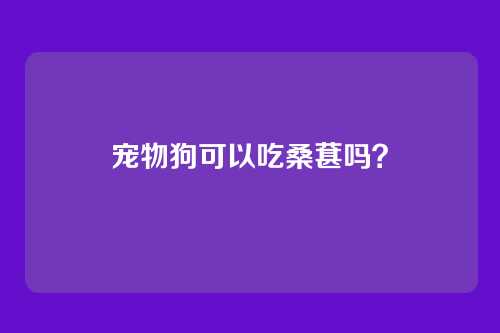 宠物狗可以吃桑葚吗？