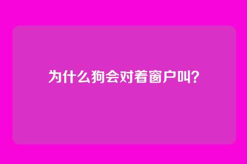 为什么狗会对着窗户叫？