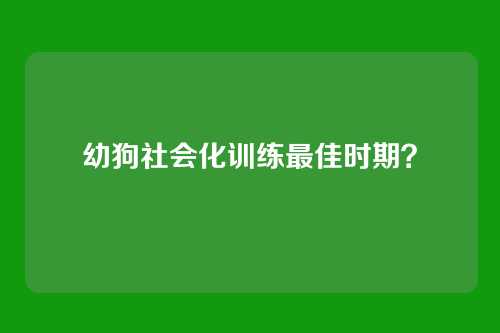 幼狗社会化训练最佳时期？